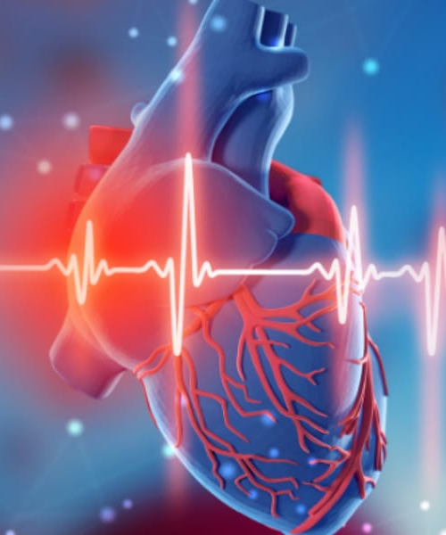 untitled design (22)